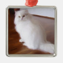 Recherche de persan ornements De chat