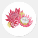 Recherche de indigène autocollants Protéique