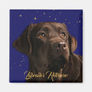 Recherche de labrador retriever magnets Chocolat