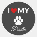 Recherche de chien de caniche autocollants Chiots