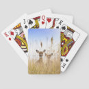 Recherche de queue jeux de cartes Plage