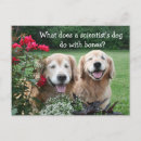 Recherche de humour scientifique cartes postales Drôle
