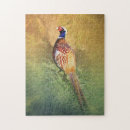 Recherche de faisans puzzles Oiseau