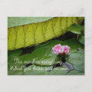 Recherche de lilypad cartes postales Lotus