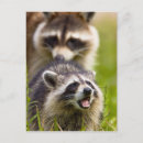 Recherche de loto cartes postales Fourrure