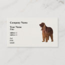 Recherche de irlandais cartes visite Rouge