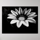 Recherche de rayure florale posters Pour tous
