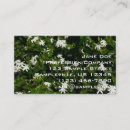 Recherche de jasmin cartes visite Nature