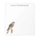 Recherche de américaine blocsnotes Crécerelle