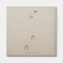 Recherche de courbe magnets Dehors