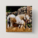 Recherche de petit poney badges Animaux