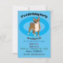 Recherche de chihuahua invitations Dog