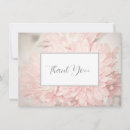 Recherche de motif chrysanthème cartes postales Fleurs