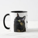 Recherche de coquille tortue tasses Chat