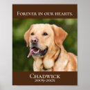 Recherche de pet memorial posters Chat
