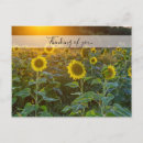 Recherche de pens posters Fleurs