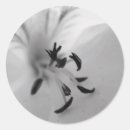 Recherche de b w autocollants Gris