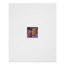 Recherche de poissons posters Animal