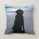 Recherche de labrador noir coussins Animaux