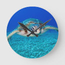 Recherche de de tortue horloges Plongée