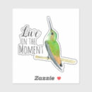 Recherche de colibris autocollants Oiseau