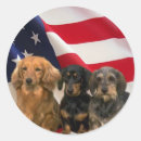 Recherche de de teckel autocollants Chiens