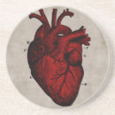 Recherche de anatomie humaine dessous de verres Illustration