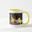 Recherche de perruche tasses Nature