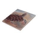 Recherche de tortue carreaux Faune