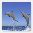 Recherche de motion autocollants Unité