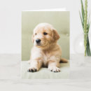 Recherche de canapé vœux cartes Chien