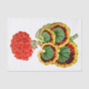 Recherche de géranium rouge Botanique