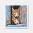 Recherche de chaton mignon serviettes Chats