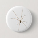 Recherche de araignée badges Simple