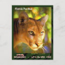 Recherche de panthere cartes postales Pour tous