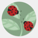 Recherche de coccinelle sur feuille autocollants Nature