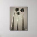 Recherche de brume impressions sur toile Plage