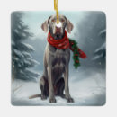 Recherche de weimaraner ornements Noël