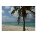 Recherche de scènes de plage posters Tropical