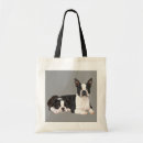 Recherche de terrier sacs Bostons