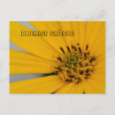 Recherche de fotografie posters Fleurs