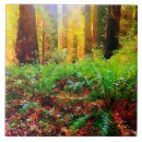 Recherche de watercolor carreaux Nature