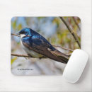 Recherche de oiseaux chanteurs tapis souris Oiseau chanteur