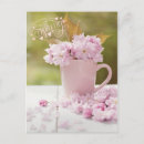 Recherche de cerisier en fleurs cartes postales Rose