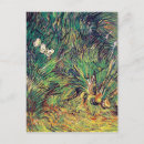 Recherche de beau papillon cartes postales Nature