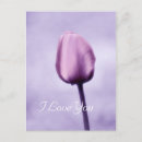 Recherche de violette romantique cartes postales Féminin