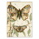 Recherche de tandem cartes postales Crème