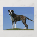 Recherche de pam cartes postales Assis