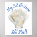 Recherche de plage de coquillages posters Bord de mer