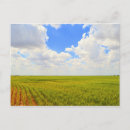 Recherche de blé cartes postales Nuages